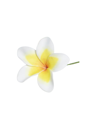 FRANGIPANI FLOWER