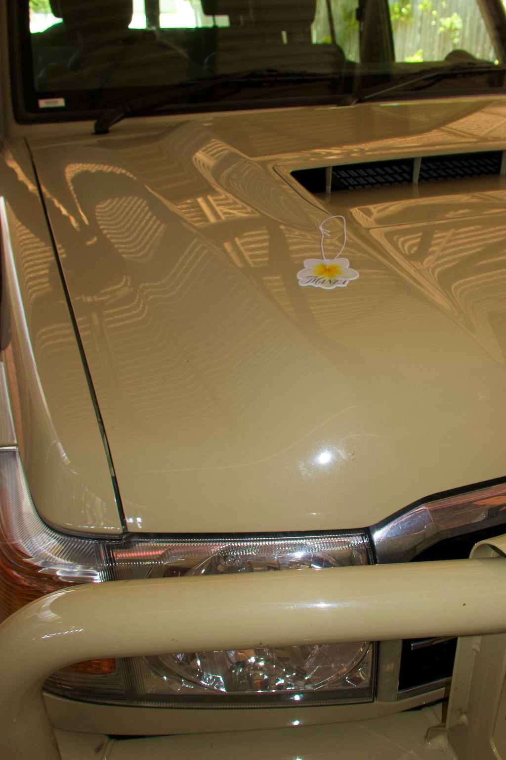 FRANGIPANI AIR FRESHENER