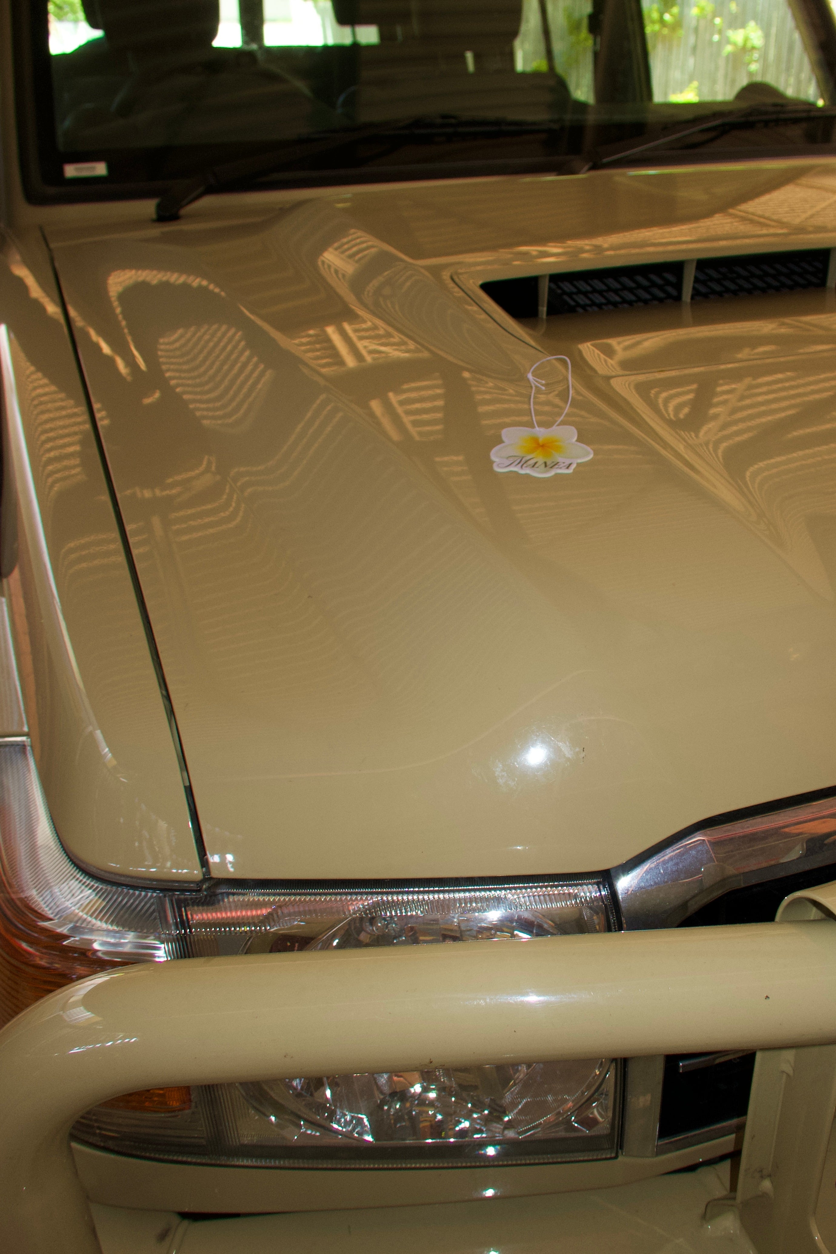 FRANGIPANI AIR FRESHENER