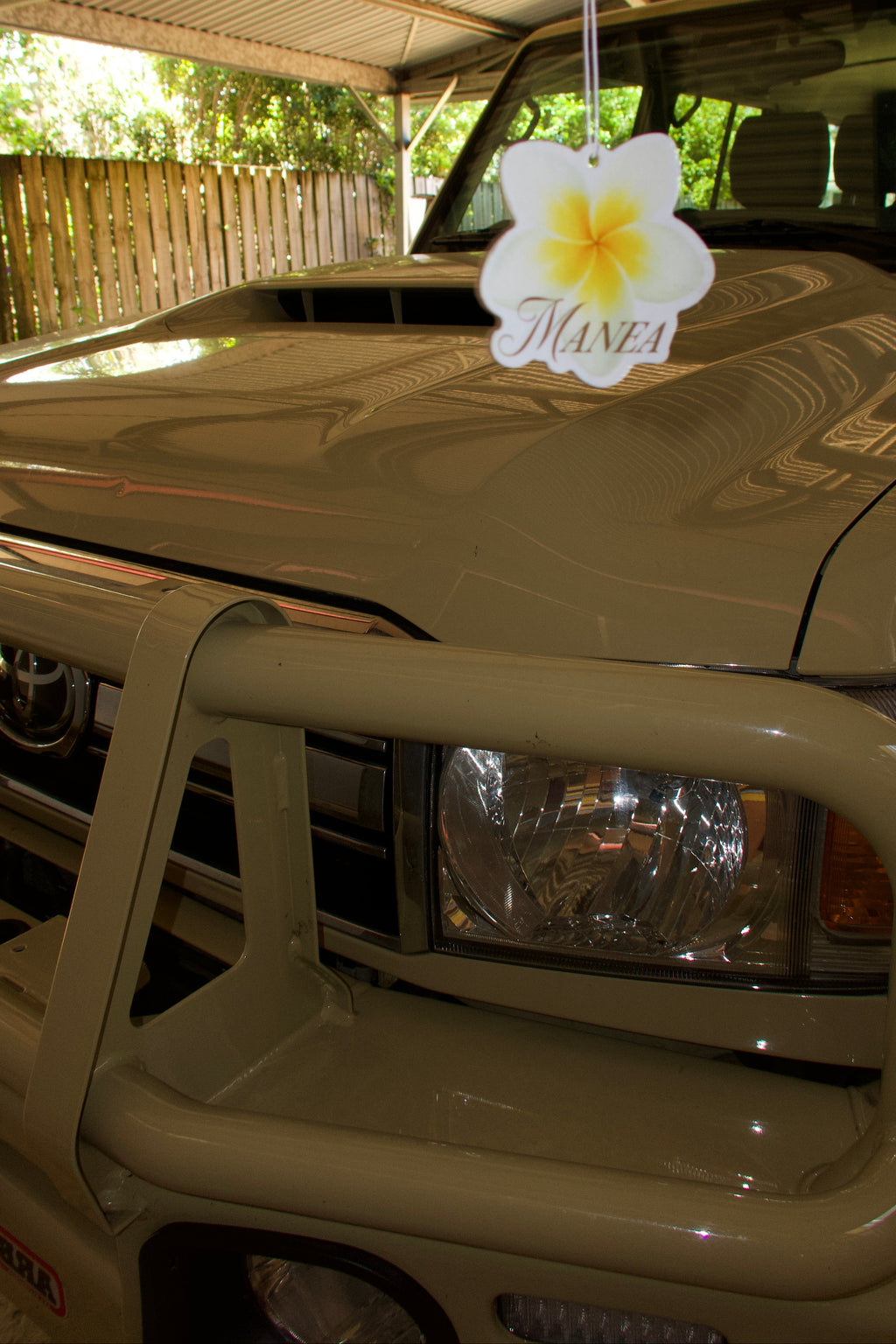 FRANGIPANI AIR FRESHENER